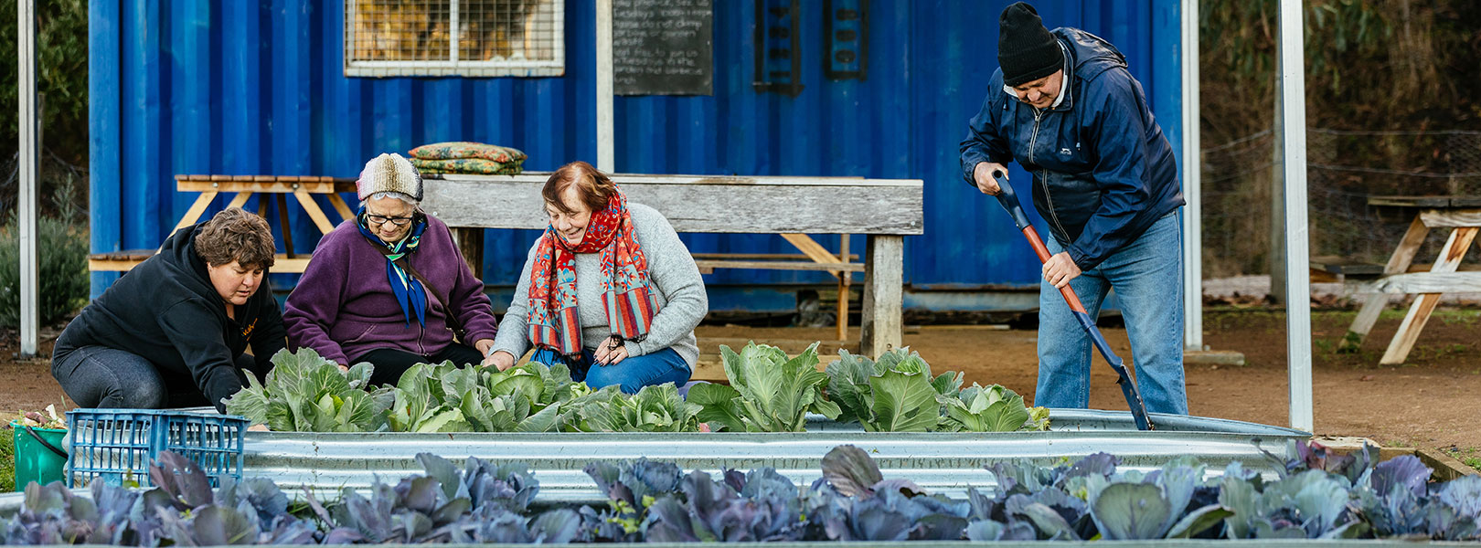 Senior citizens tending to raised garden beds