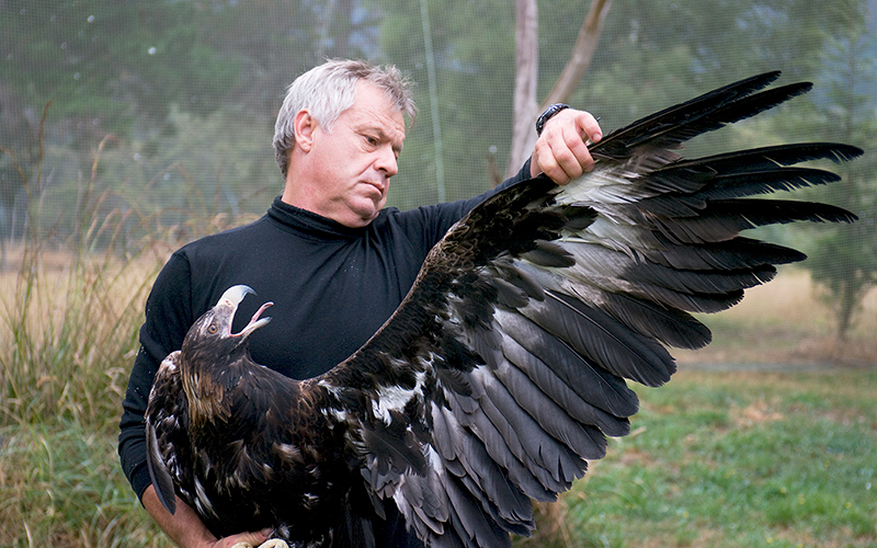Craig Webb with an eagle