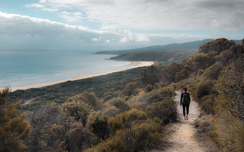 Walking walking down bush track to beach