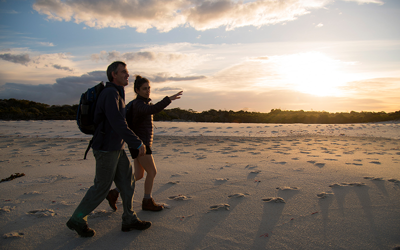 Two people walking at sunset on the beach