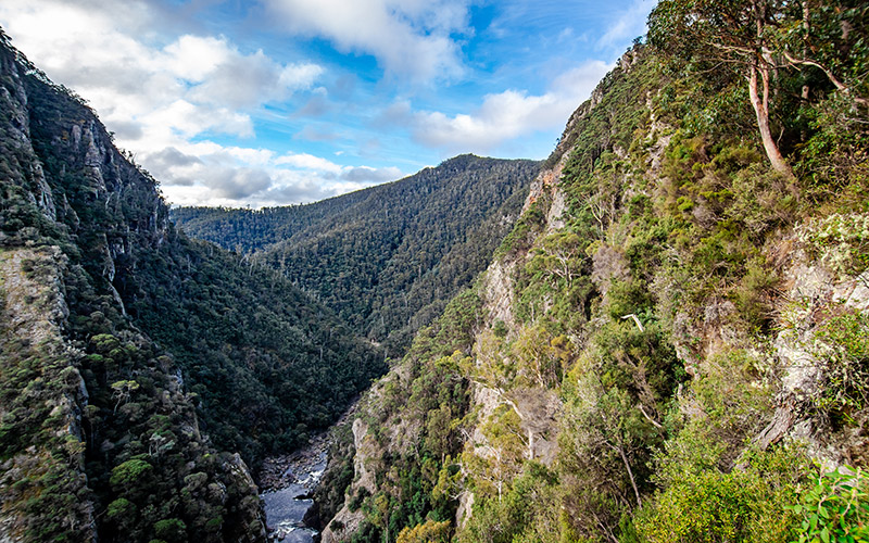 Leven Canyon