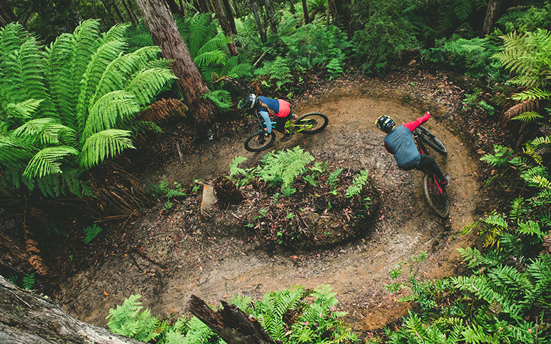 St Helens Trails