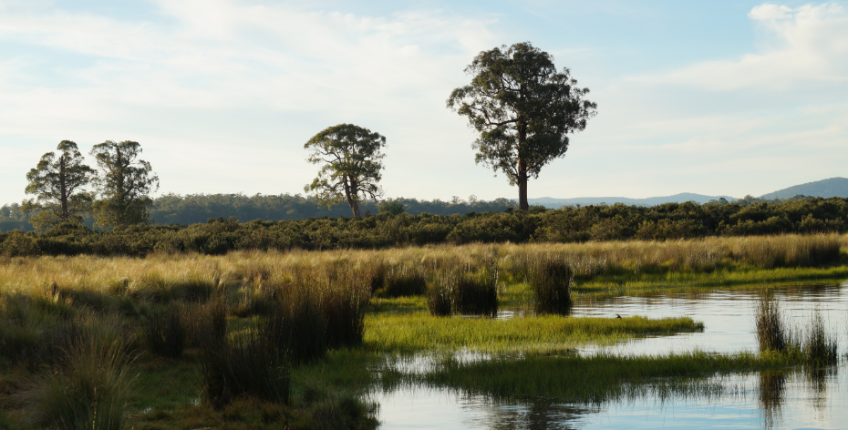 Central Highlands