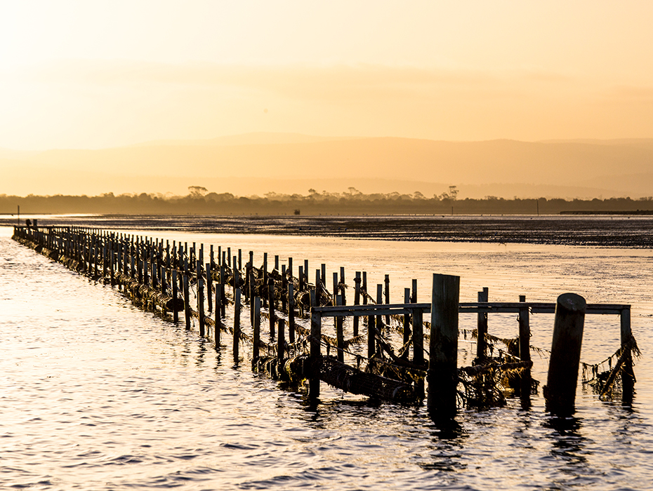 Freycinet Marine Farm