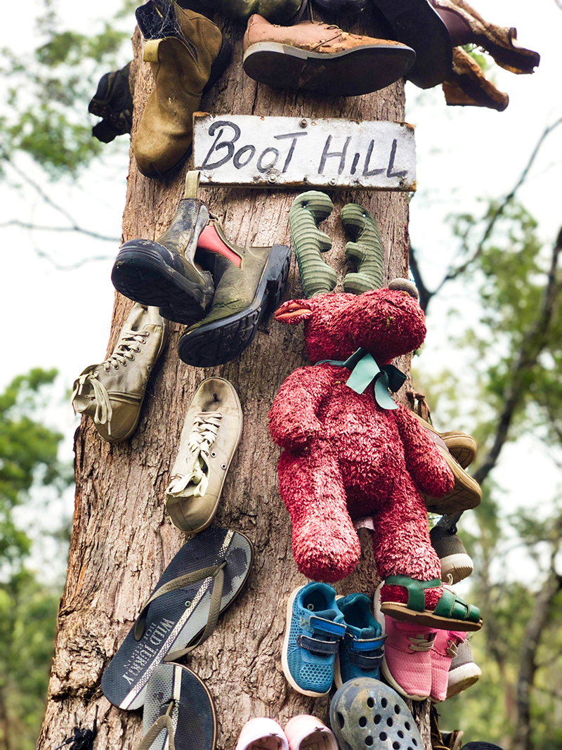 Shoes, boots and teddies on a tree at Boot Hill