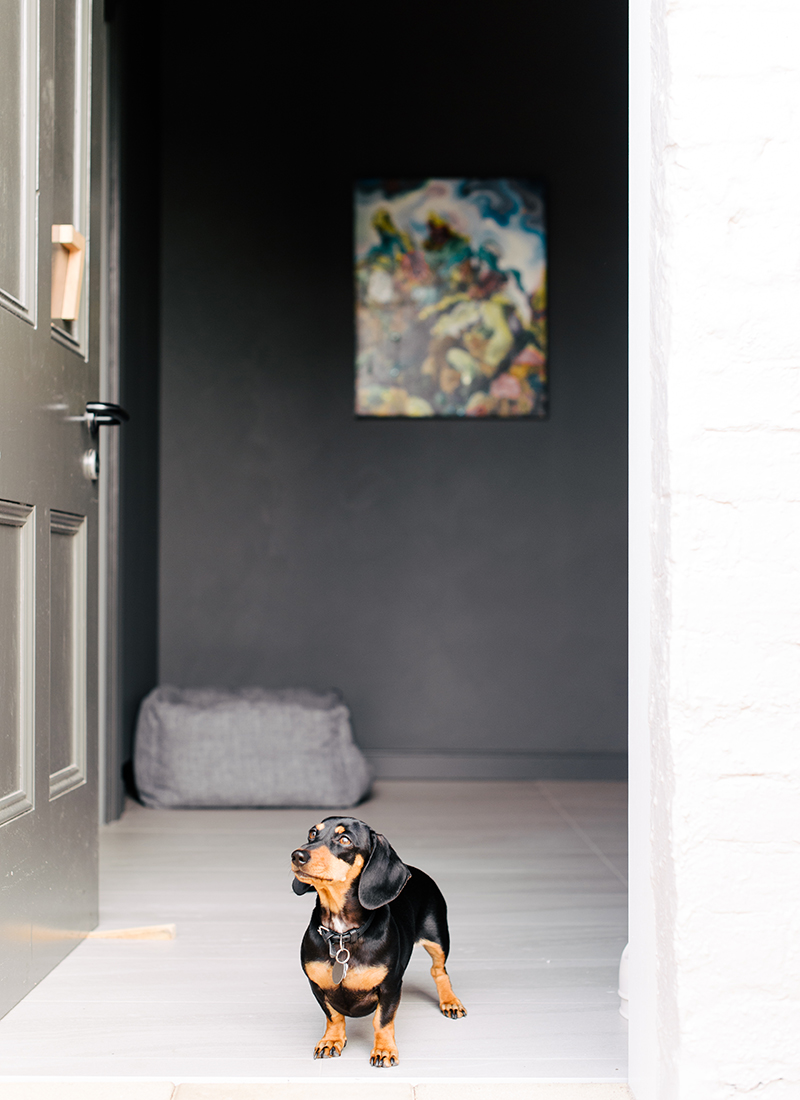 Little dog standing in door of dog-friendly room at Stillwater.