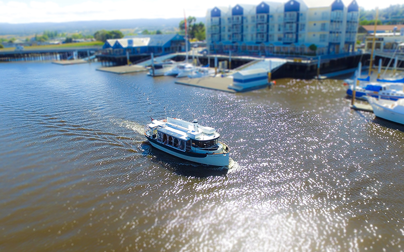 Tamar cruise