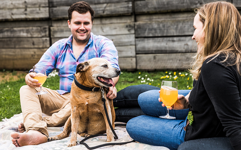 Picnic on the lawn with pet at Willie Smith's Apple Shed.