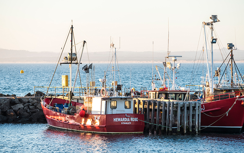 Fishing boats moored at the wharf