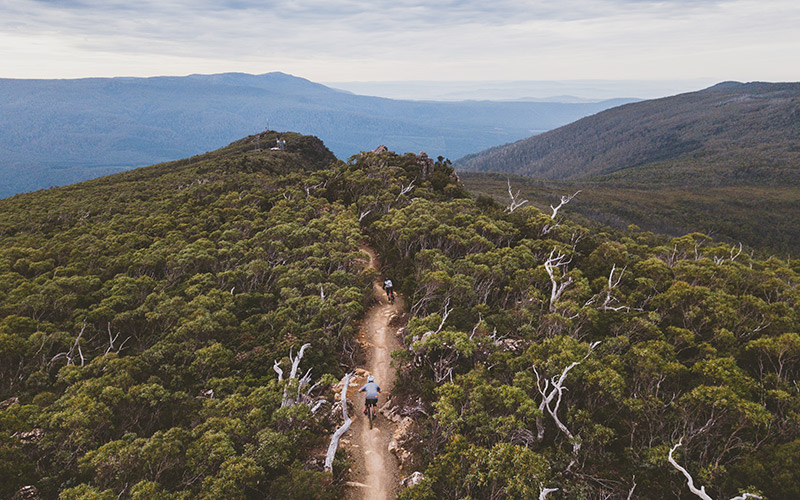 Mountain biking in Maydena
