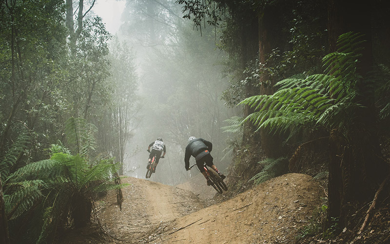Mountain biking in Maydena