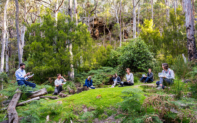 Group sitting on green grass floor in forest