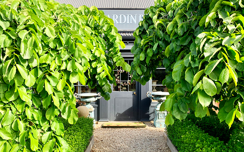 Green, leafy exterior of The Jardin Room