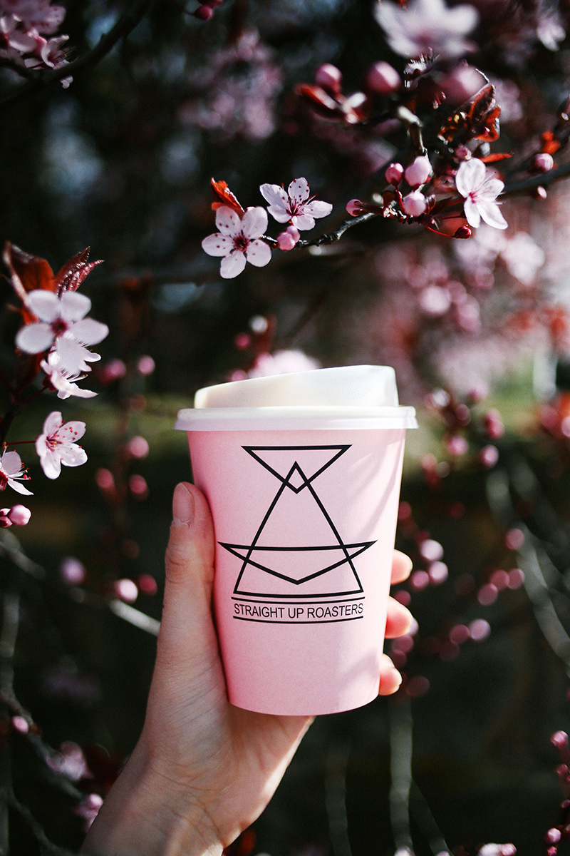 Pink takeaway coffee cup in front of cherry blossoms