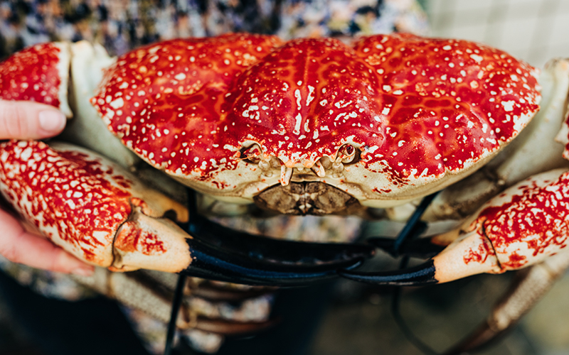 Local seafood