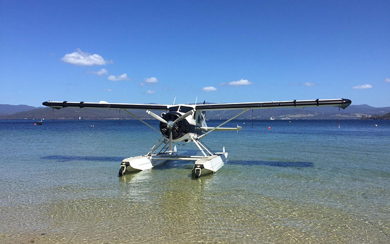 Beach picnic at Bruny Island seaplane