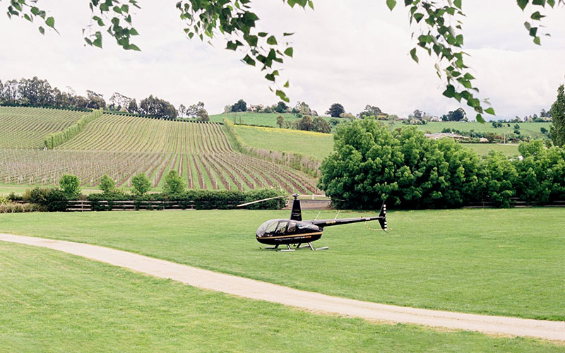 Helicopter landing at vineyard