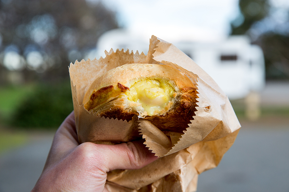 A scallop pie