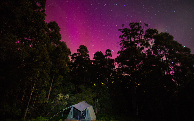 Tent and pink aurora in the wilderness