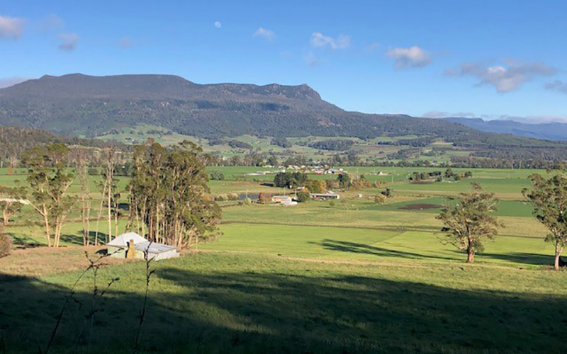 Green grass and mountains at Meander