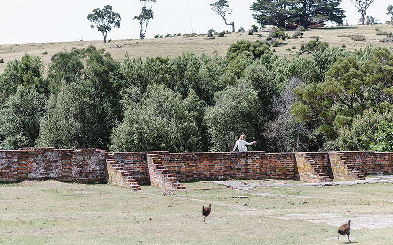 Chickens running in the wild as someone jumps a convict fence.
