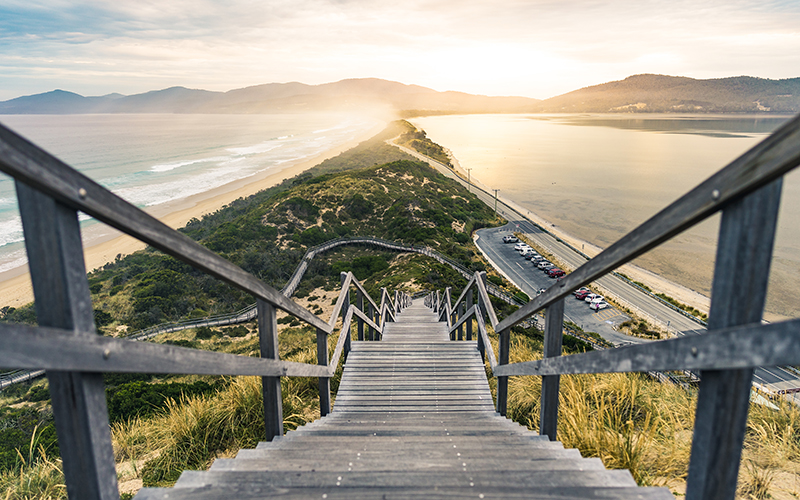 The Neck, Bruny Island
