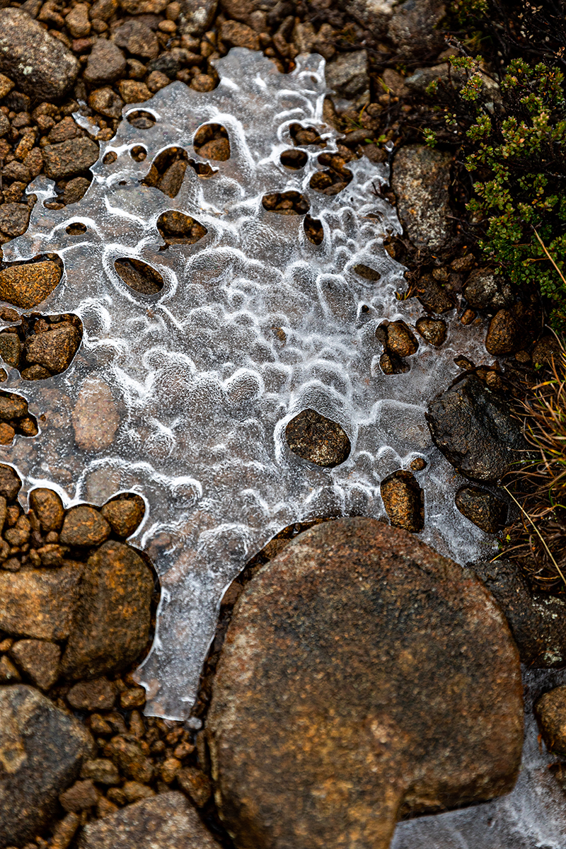 Frozen water surrounding rocks in river at Ben Lomond National Park