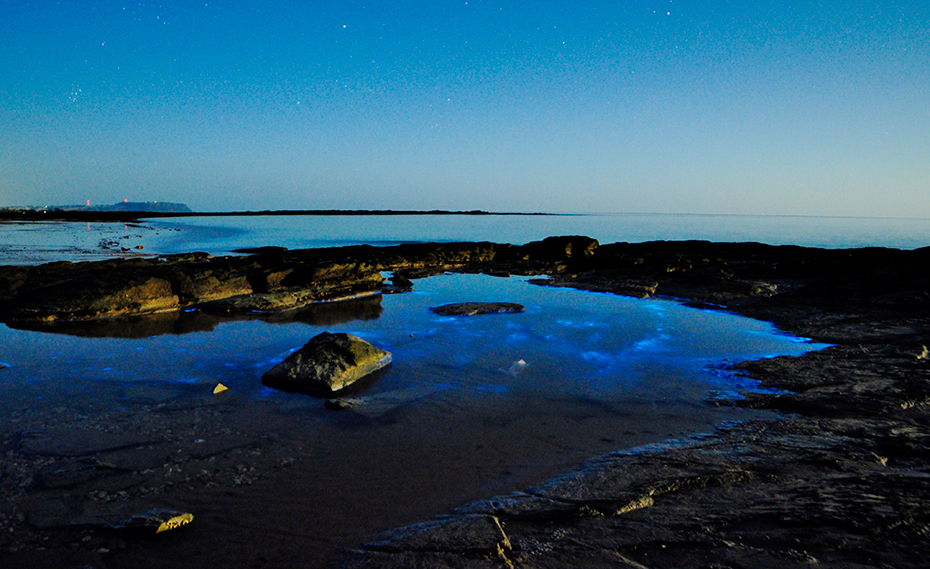 Blue bioluminescence in the water at Somerset