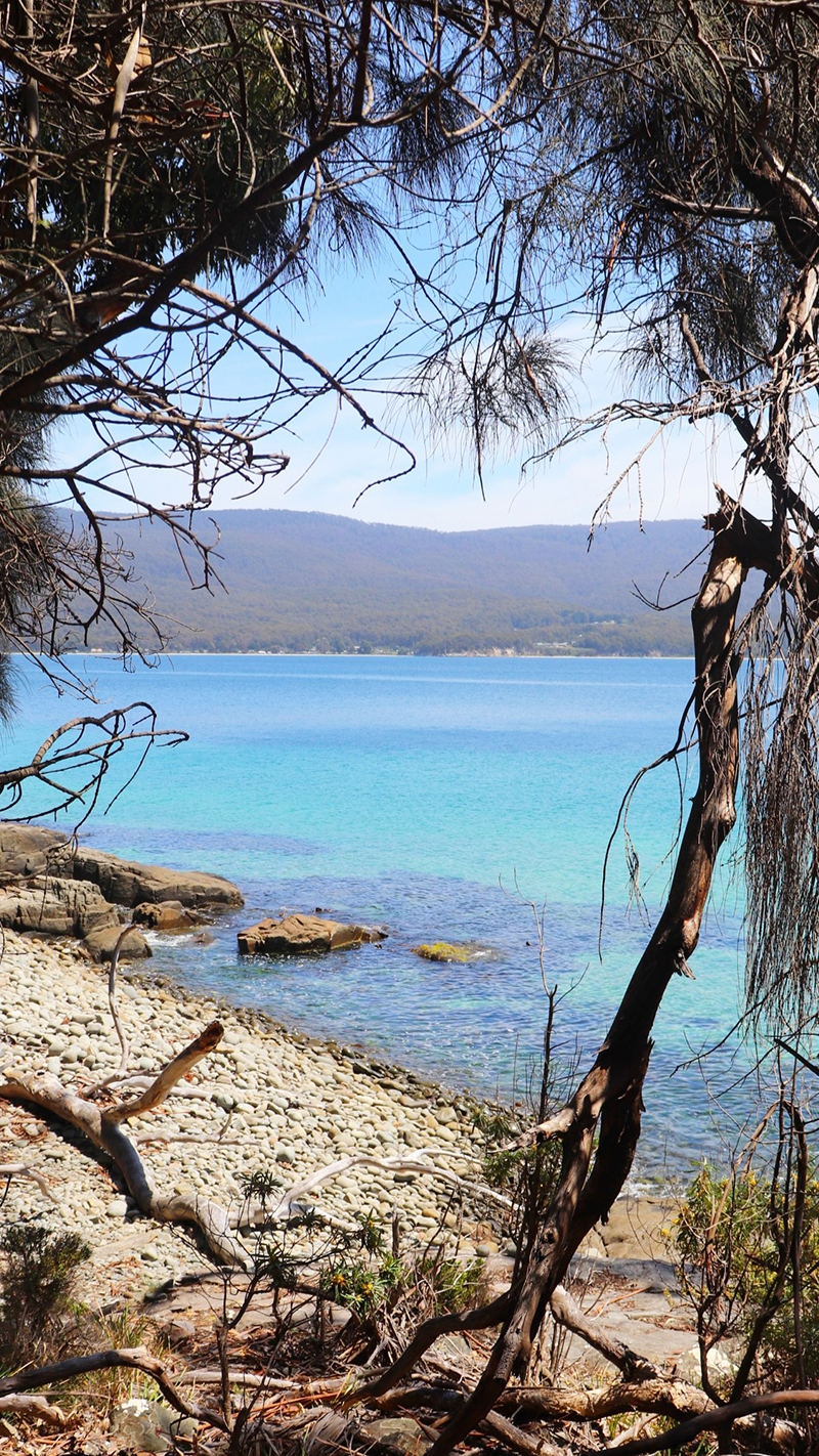 View of blue water from the Fluted Cape Walk on Bruny Island