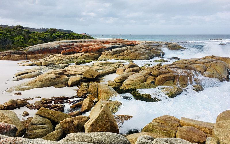 Waves crashing and lichen-covered rocks at Swimcart Beach, Bay of Fires