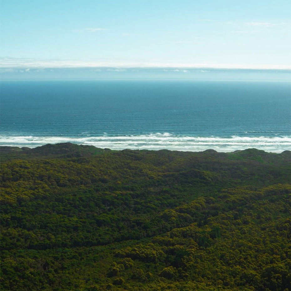 View of forest and ocean at Ocean Beach