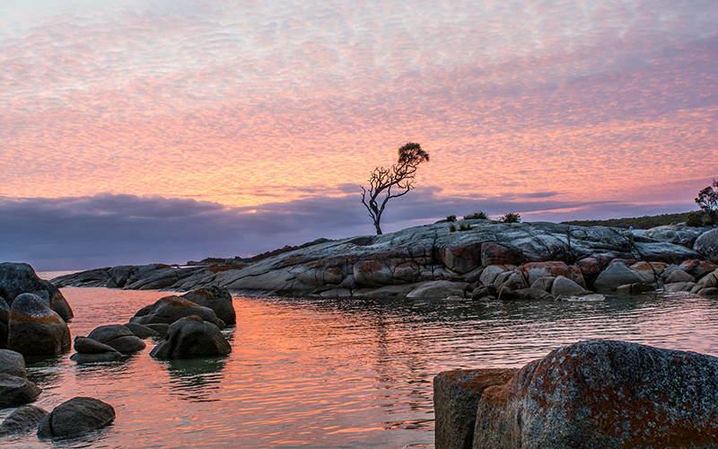 Sunset at the lone tree, Binalong Bay
