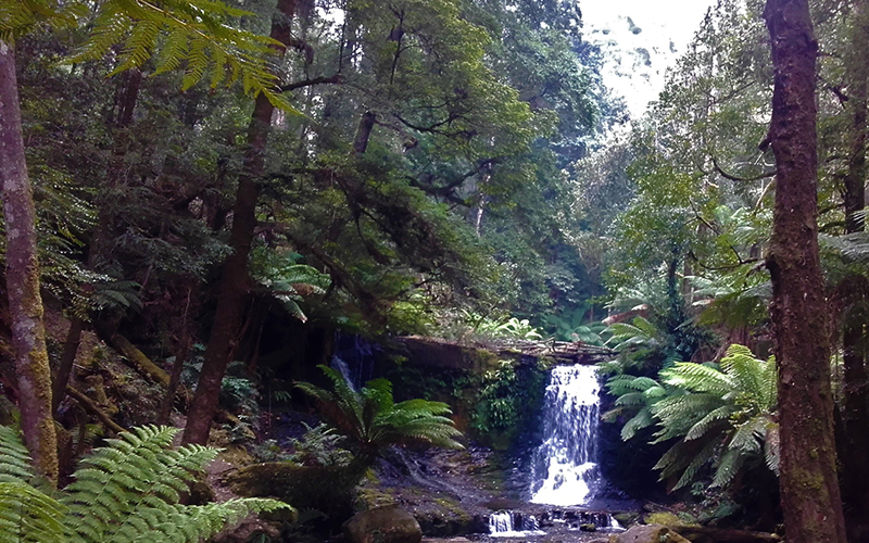 View of waterfall and rainforest at Mt Field National Park