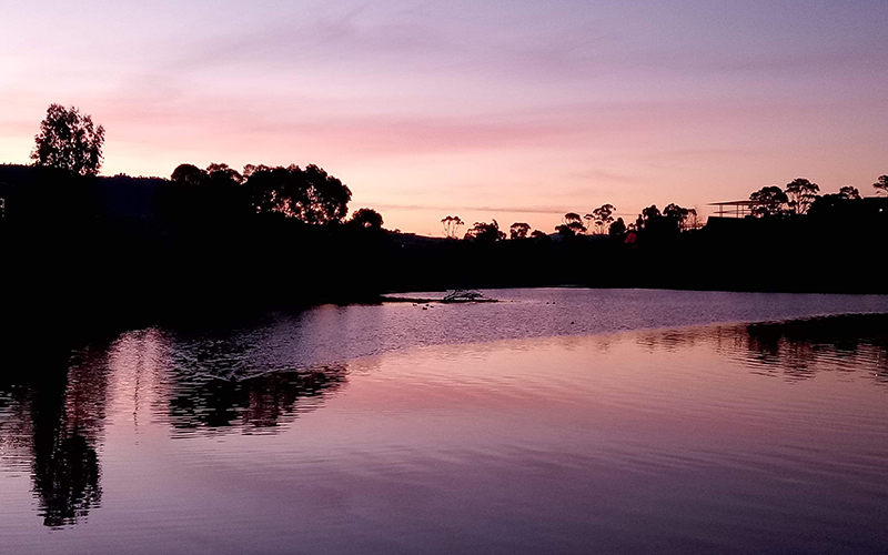 Purple sunset and water at Rosetta