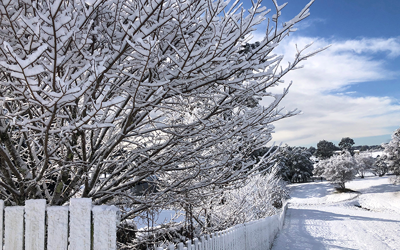 Snow at Waratah