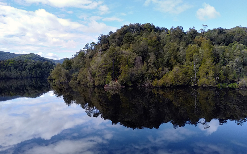 Reflections on the Gordon River