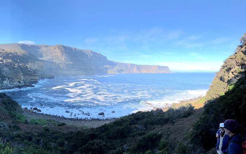 The beach and waves at Shipstern Bluff