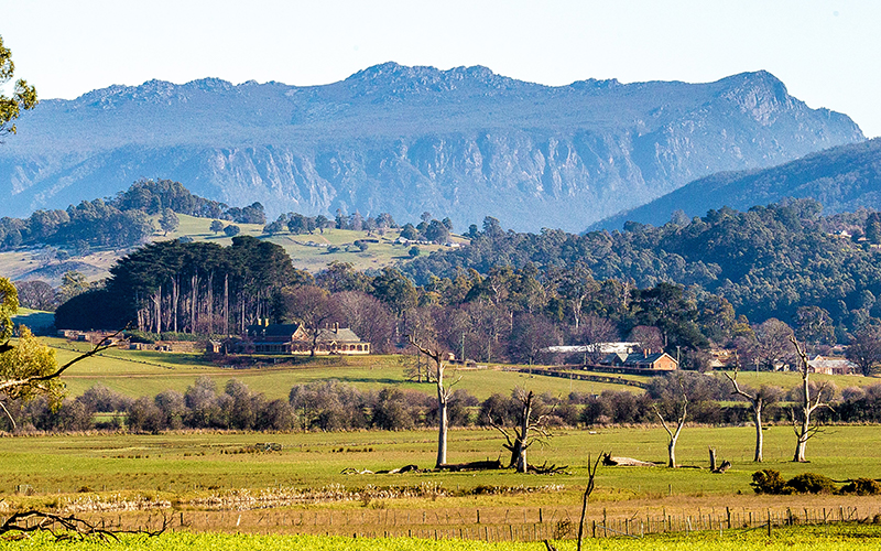 Views of paddocks and mountains at Mole Creek