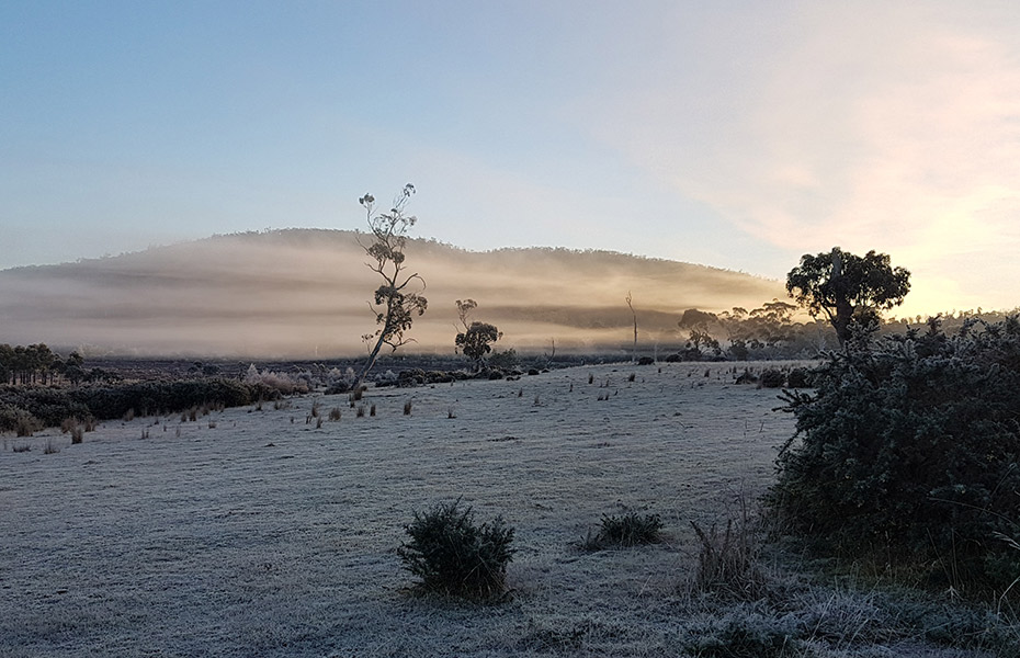 Frosty morning near Buckland