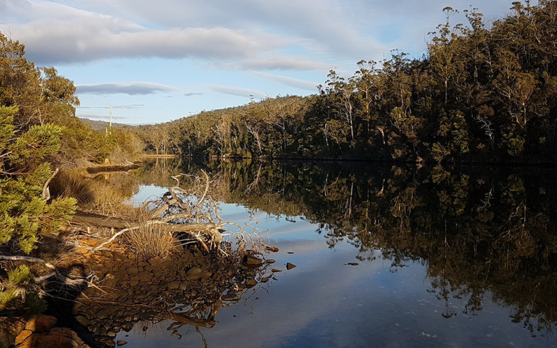 Prosser River at Orford