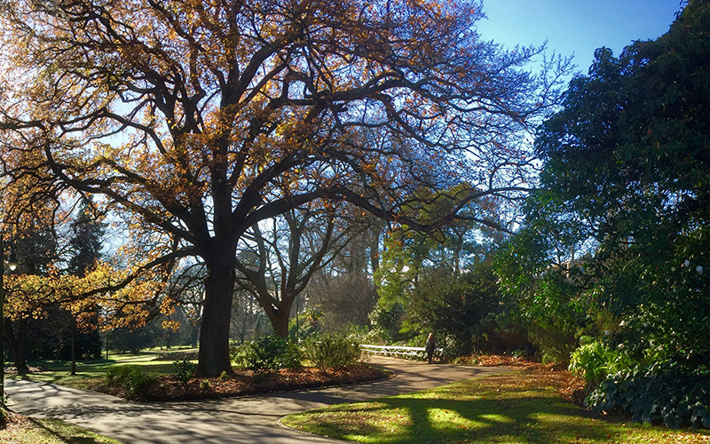City Park, Launceston