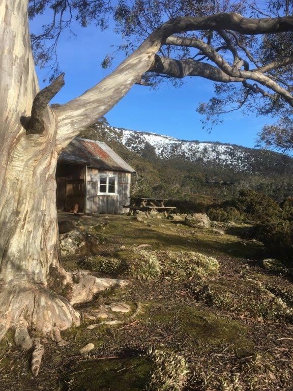 Government huts at Mt Field National Park