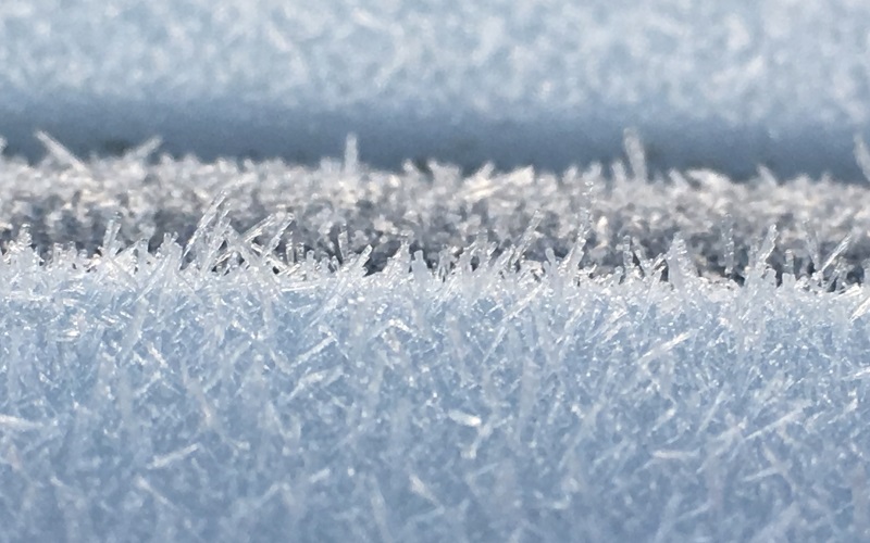 Frost on car in Launceston