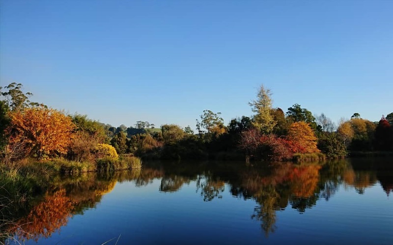 Arboretum, Melrose
