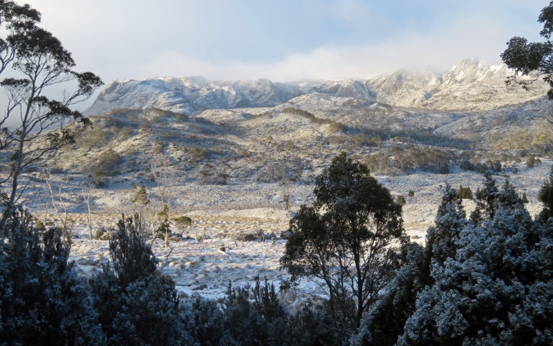 Snow at Cradle Mountain