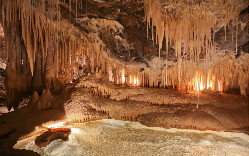 Mole Creek Caves