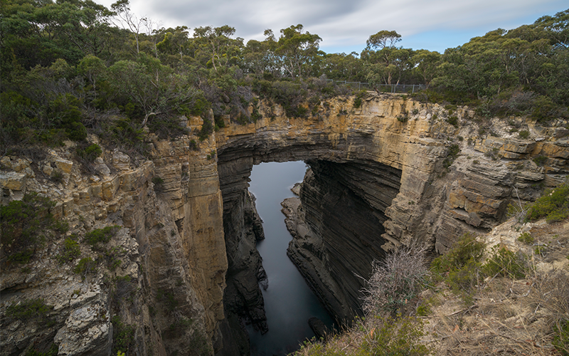 Tasman Arch