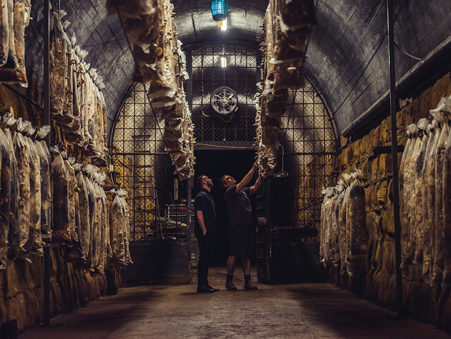 Two men in a re-purposed underground tunnel growing mushrooms