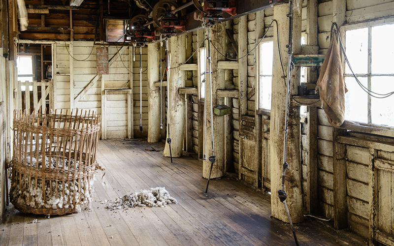 Inside a historic shearing shed