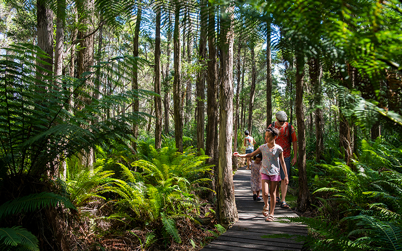 Family walking through the forest at Hastings Caves